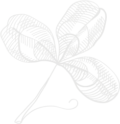 Vee care cattile feed